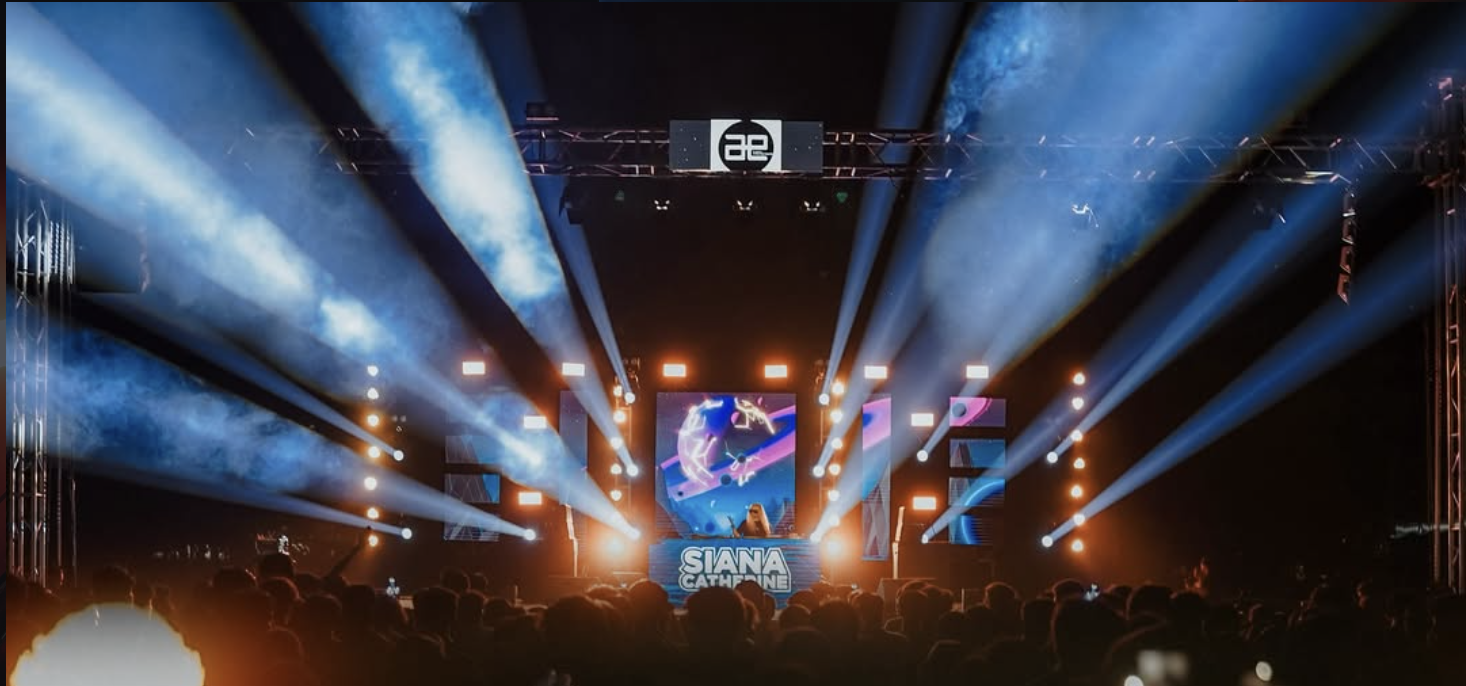Avalon artist performing on stage